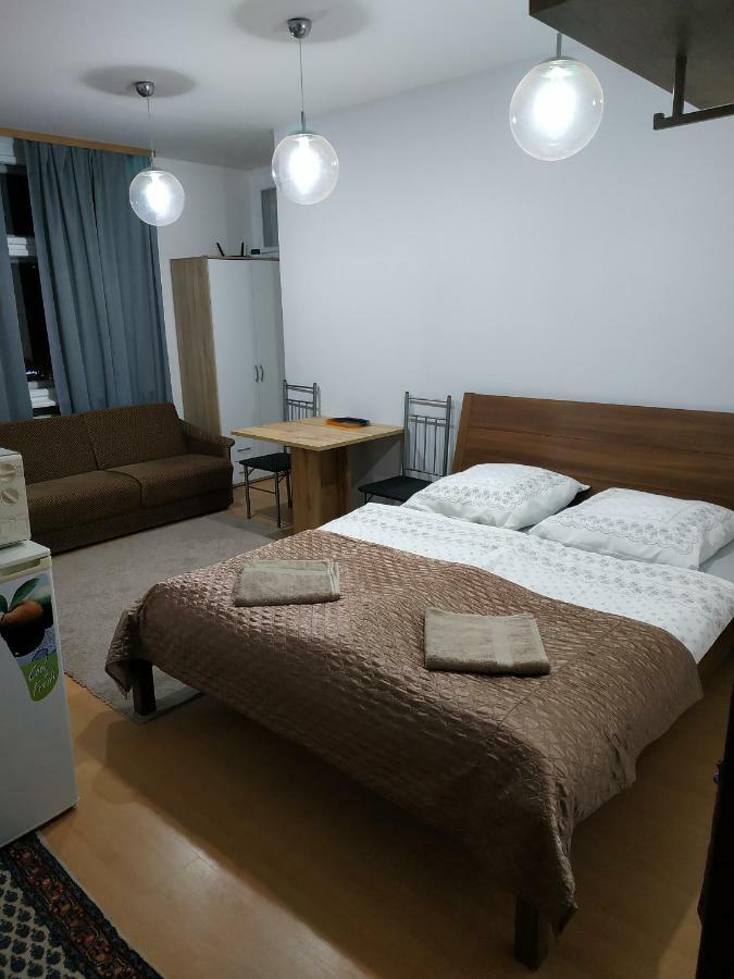 Apartmany Lenk 카를로비바리 외부 사진