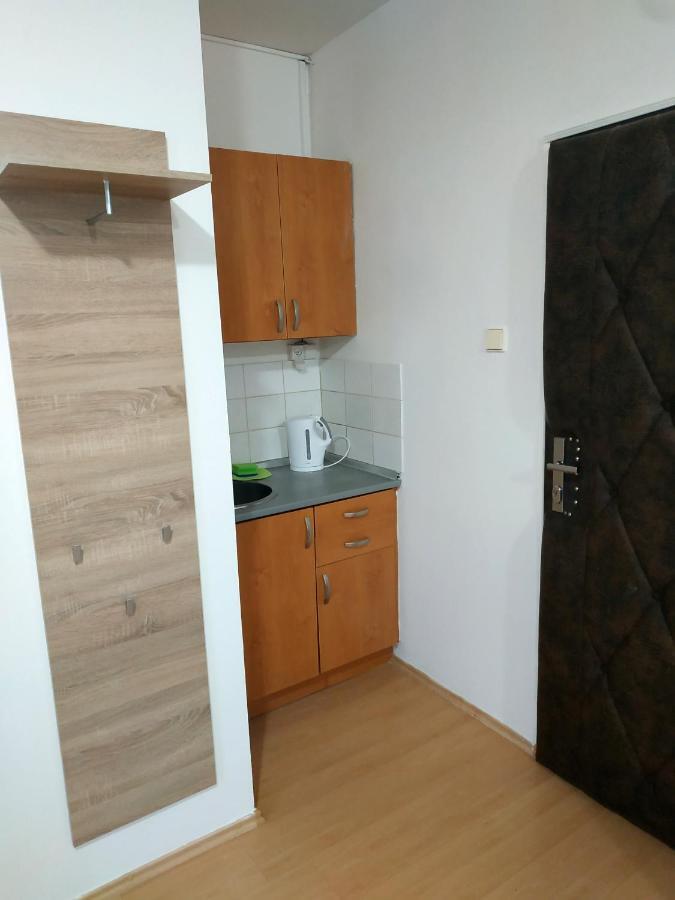 Apartmany Lenk 카를로비바리 외부 사진